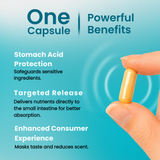 You Vites Yours Daily - Methylated Multivitamin - Iron-Free, Methyl B12, Methylfolate, CoQ10 - 60 Capsules